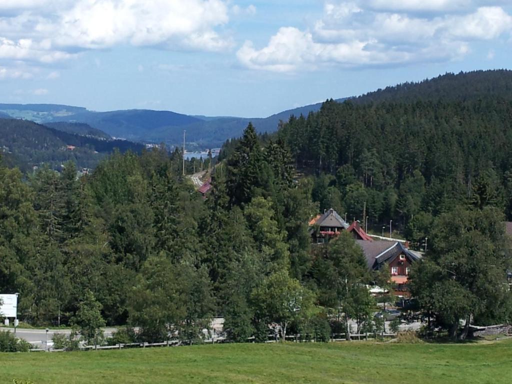Schwarzwald-Chalet Feldberg Feldberg  Extérieur photo